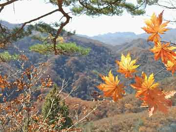 龙宫府